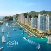 Giá Cực Sốc Với Khu Nghỉ Dưỡng Crystal Holidays Harbour Vân Đồn 56-73-85M