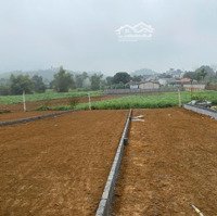 Nhỉnh 1 Tỷ Sở Hữu Ngay Lô Đất Nghỉ Dưỡng Tại Xã Vân Hoà