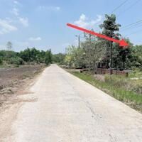 BÁN ĐẤT CHÍNH CHỦ 1.250M2 GIÁ NGỘP TRIỆU NGAY SÁT KCN VÀ CHỢ