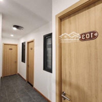 Bán Gấp Nhà Sư Vạn Hạnh Căn Hộ Dịch Vụ Q.10 Hcmdiện Tích70M 6 Tầng Giá Chào 17,7 Tỷ