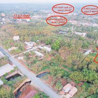Cần Tiền Bán Đất Gấp Trong Tháng 2/2025. Mình Là Chủ Lô Đất Ngay Chợ Thanh Lương, Tx. Bình Long