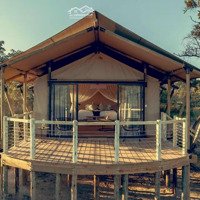 Đất Đẹp Xuất Sắc Tại Kim Đồng, 13 Tỷ, 300M2, Đà Lạt, Lâm Đồng