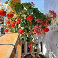 Chủ Cần Bán Căn Nhà Nhỏ Xinh Cách Biển Phước Tỉnh 100M - Giá Chốt 850 Triệu