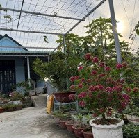 Xã Hưng Long, Bình Chánh. Giảm Mạnh. Bán Nhà Vườn Diện Tích: 1.325M2 Có 300M2 Thổ Cư Giá Bán 11,900 Tỷ