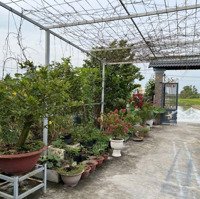 Xã Hưng Long, Bình Chánh. Giảm Mạnh. Bán Nhà Vườn Diện Tích: 1.325M2 Có 300M2 Thổ Cư Giá Bán 11,900 Tỷ