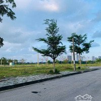 Bán Đất Tại Trịnh Hoài Đức, 3,1 Tỷ, 135M2 Hàng Hiếm Giá Tốt- Chính Chủ