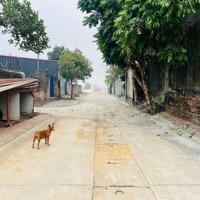 85M2, Full Thổ Cư Khu Đấu Giá Cốc Lương, Tân Hưng, Sóc Sơn, Hn, Giá Rẻ Chỉ Nhỉnh Tỷ, 0969435862