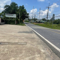 Bán Kho Mặt Tiền Đường Nguyễn Thị Rành, Dt=2490=2221M, Có 300M Thổ Cư, Diện Tích Xưởng 500M,