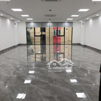 Cho Thuê Nhà Mới Vũ Phạm Hàm - Trung Hoà 100M2X8T, Mt: 6M. Thông Sàn, Thang Máy, 80 Triệu