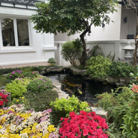 Cho Thuê Biệt Thự 250 Triệu, 500M2 Tại Trần Hưng Đạo, Hoàn Kiếm, Hà Nội - Hot! Liên Hệ: 09322.88997