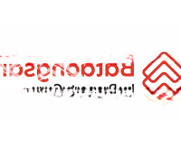 Bán Đấu Giá Du Nội, Xã Mai Lâm