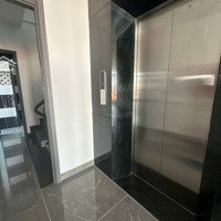 Tòa Nhà Mới 100%Mặt Tiềnnguyễn Trọng Tuyển Ngang 15M Dtsd 1000M2 Hầm-7 Tầng -Thang Máy-Pccc , Sàn Suốt.