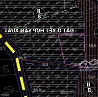 Bán Đất Thổ Cư Ngay Tỉnh Lộ 7 Gần Chợ, Trường Học Thái Mỹ