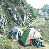 Cần Bán Đất Sổ Đỏ 100M, Hoặc 85M2, Giá Bán 43 Triệu/M2 Tại Phương Bản, Phụng Châu, Chương Mỹ, Hà Nội.