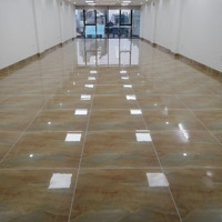 Cho Thuê Toà Văn Phòng Mặt Phố Đoàn Thị Điểmdiện Tích178M2,Mặt Tiền6.6M. Giá Thuê 250 Triệu/Tháng