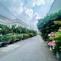 Bán Nhà 100M2 Đường Nhựa Xe Hơi Tránh Nhau Cách Ngã Tư Thủ Đức 500M, Nằm Trong Khu Dân Cư Cao Cấp.