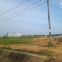 Bán đất xây dựng xưởng 1.4ha KCN Thuận Đạo, Huyện Bến Lức, Long An