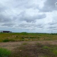 Cho thuê xưởng 4800m2 KCN Châu Đức, Huyện Châu Đức, BRVT