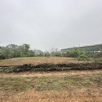 Bán 2248M Full Đất Vườn, Phù Hợp Làm Xưởng Giá Hơn 2 Triệu/M Tại Hoà Thạch, Quốc Oai