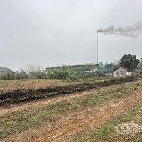Bán 2248M Full Đất Vườn, Phù Hợp Làm Xưởng Giá Hơn 2 Triệu/M Tại Hoà Thạch, Quốc Oai