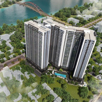 Bán Căn Hộ Fresia Riverside, 1,58 Tỷ, 45M2, 1 Phòng Ngủ 1 Vệ Sinh P Tân Vạn, Biên Hòa Mặt Tiền Sông Đn