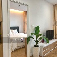 Cho Thuê Chung Cư Republic Plaza - Tân Bình. Diện Tích: 52M2, 1 Phòng Ngủ 1 Vệ Sinh Giá: 12 Tr/Th, Liên Hệ: 0904715617