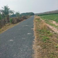 Bán Đất 4300M2, Tại Xã Thành Long, Châu Thành, Tây.
Ninh