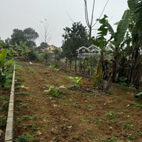 Bán Đất Hoàng Văn Thụ, Huyện Chương Mỹ 100M² Phun Thổ Cư Giá 1,3X Tỷ Xe 7 Chỗ Chạy Thông