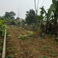 Bán Đất Hoàng Văn Thụ, Huyện Chương Mỹ 100M² Phun Thổ Cư Giá 1,3X Tỷ Xe 7 Chỗ Chạy Thông