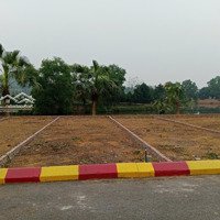 Cần Tiền Gia Đình Bán Cắt Lỗ Lô Đất 61,5M2 Giá 24, 5 Triệu/M2. Đất Ở Sơn Đông, Sơn Tây, Hà Nội