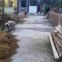 Bán đất Đại Hợp - Kiến Thụy - Hải Phòng