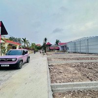 Ngay Trung Tâm Cẩm Hoàn - Thanh Sơn - Kiến Thuỵ. Đường 8M Giá Chỉ Hơn 1Tỷ