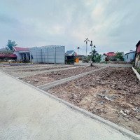 Ngay Trung Tâm Cẩm Hoàn - Thanh Sơn - Kiến Thuỵ. Đường 8M Giá Chỉ Hơn 1Tỷ