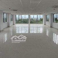 Siêu Phẩm Khu Thời Trang Lê Duẩn, Độ Nhận Diện Thương Hiệu Cao, Diện Tích 500M2