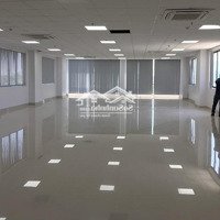 Siêu Phẩm Khu Thời Trang Lê Duẩn, Độ Nhận Diện Thương Hiệu Cao, Diện Tích 500M2