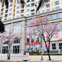Cho Thuê Cc Sài Gòn Mia, 13 Triệu, 78M2, 2 Phòng Ngủ 2 Vệ Sinh Đẹp, Nhiều Tiện Ích