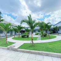 Cho Thuê Mini House Sân Vườn - Có Gác, Nột Thất, Gần Trung Tâm