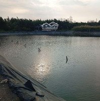 Bán Đất Diện Tích: 3325M Xã Bình Khánh Cần Giờ Hcm Vị Trí Cách Đường Rừng Sác 500M Giá Tốt Nhất Thị Trường
