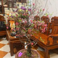 Cho Thuê Nhà 50M*5 Tầng, Ngõ 101 Đào Tấn, Phường Ngọc Khánh, Ba Đình, Giá Bán 17 Triệu (Tl).