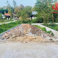 Đất F0 Kiệt Ô Tô Bùi Thị Xuân Cạnh Cầu Nguyễn Hoàng - Quy Hoạch Đường 12m 1tỷ4XX