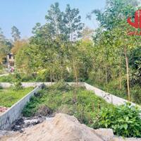 Đất F0 Kiệt Ô Tô Bùi Thị Xuân Cạnh Cầu Nguyễn Hoàng - Quy Hoạch Đường 12m 1tỷ4XX