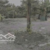 Cho Thuê Đất Trống 1.500M2 Làm Kho Xưởng Sản Xuất, Hẻm Lớn Xe Tải, Thông Thoáng, An Ninh