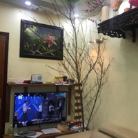 Nhà 3T Cũ Ngõ Đường Lángdiện Tích83,5Mmặt Tiền6M Nở Hậu Ngõ 3M Sát Phố Giá Bán 13,35 Tỷ