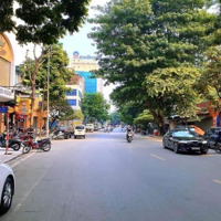 Toà Nhà Văn Phòng Mặt Phố Giang Văn Minh 170M2 10 Tầng Mặt Tiền 50M Giá Bán 105 Tỷ (Lô Góc 3 Thoáng)