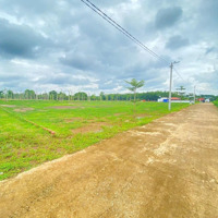 Cắt Lô 40% Giá Trị Đất Trước Tết Để Bán 200M2 Đất, Ngay Kcn Gần Chợ. Giá Bán 380 Triệu
