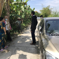 Chính Chủ Cho Thuê Đất Ấp Đông Thắng A, Xã Đông Thuận,Diện Tích4685 M2 - Ưu Tiên Trồng Cây Lâu Năm