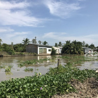 Chính Chủ Cho Thuê Đất Ấp Đông Thắng A, Xã Đông Thuận,Diện Tích4685 M2 - Ưu Tiên Trồng Cây Lâu Năm