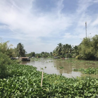 Chính Chủ Cho Thuê Đất Ấp Đông Thắng A, Xã Đông Thuận,Diện Tích4685 M2 - Ưu Tiên Trồng Cây Lâu Năm