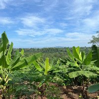 Dạ Kinh Tế Khó Khăn. Gia Đình Em Bán Mảnh Đất Của Gia Đình Ở Thống Nhất Để Lên Thành Phố Sống Ạ
