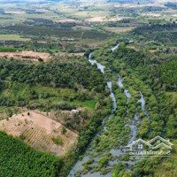 Dạ Kinh Tế Khó Khăn. Gia Đình Em Bán Mảnh Đất Của Gia Đình Ở Thống Nhất Để Lên Thành Phố Sống Ạ